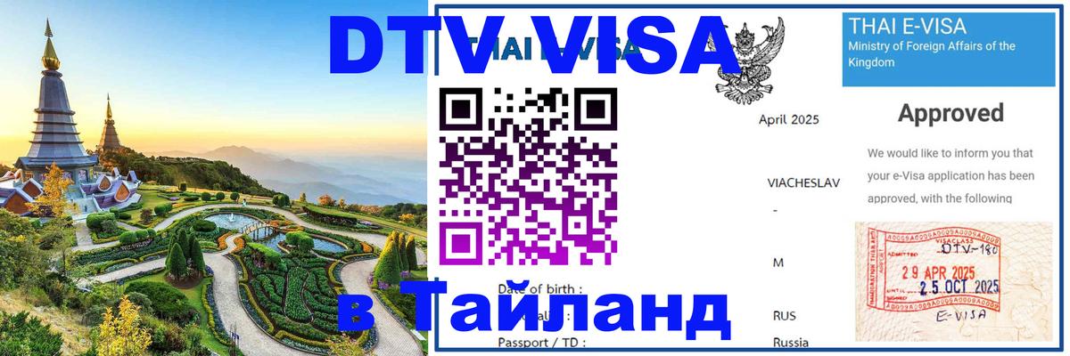 Оформление DTV визы под ключ: стоимость и тарифы, только загранпаспорт - 